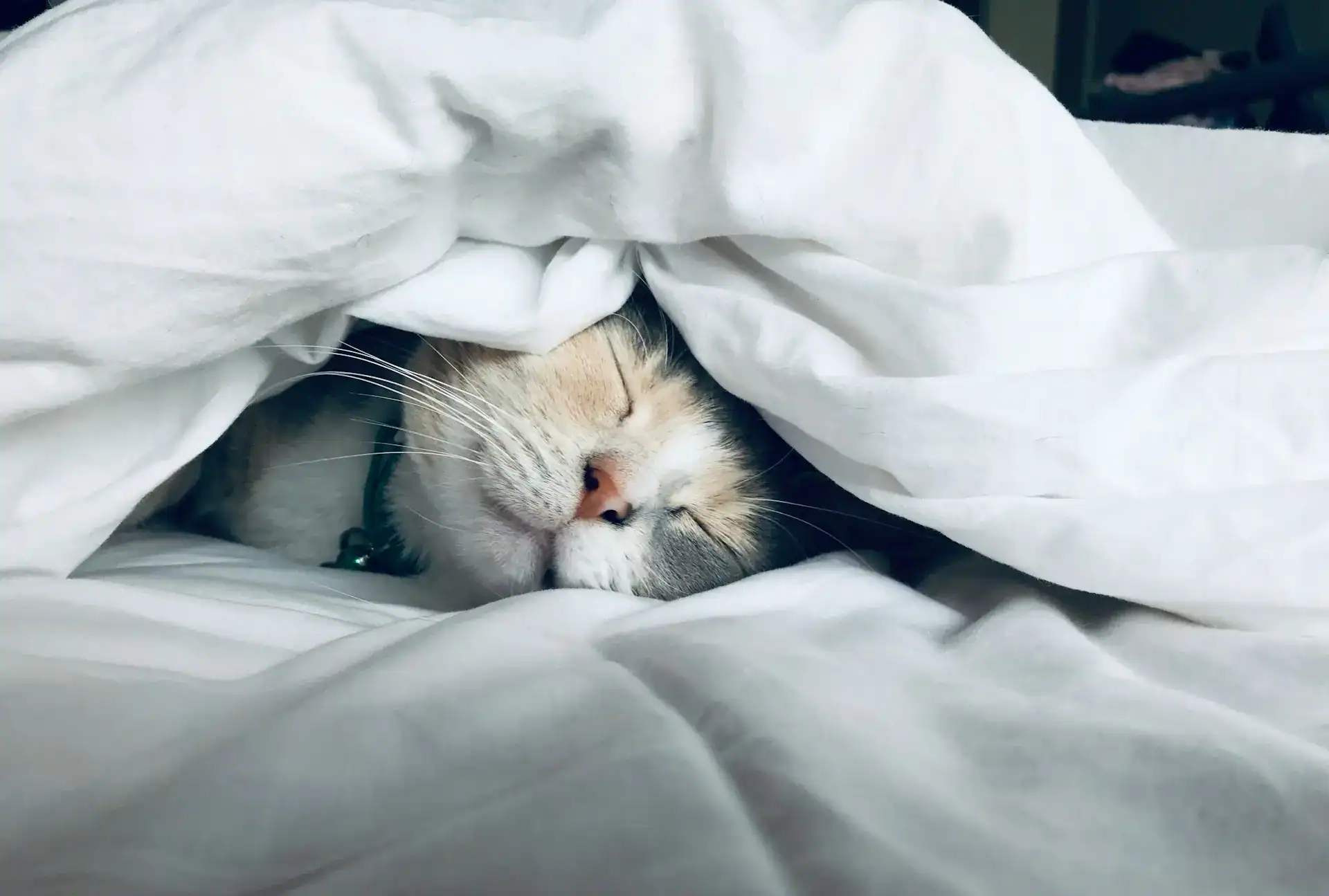 How I Stopped Sucking At Sleeping (And How You Can Too)