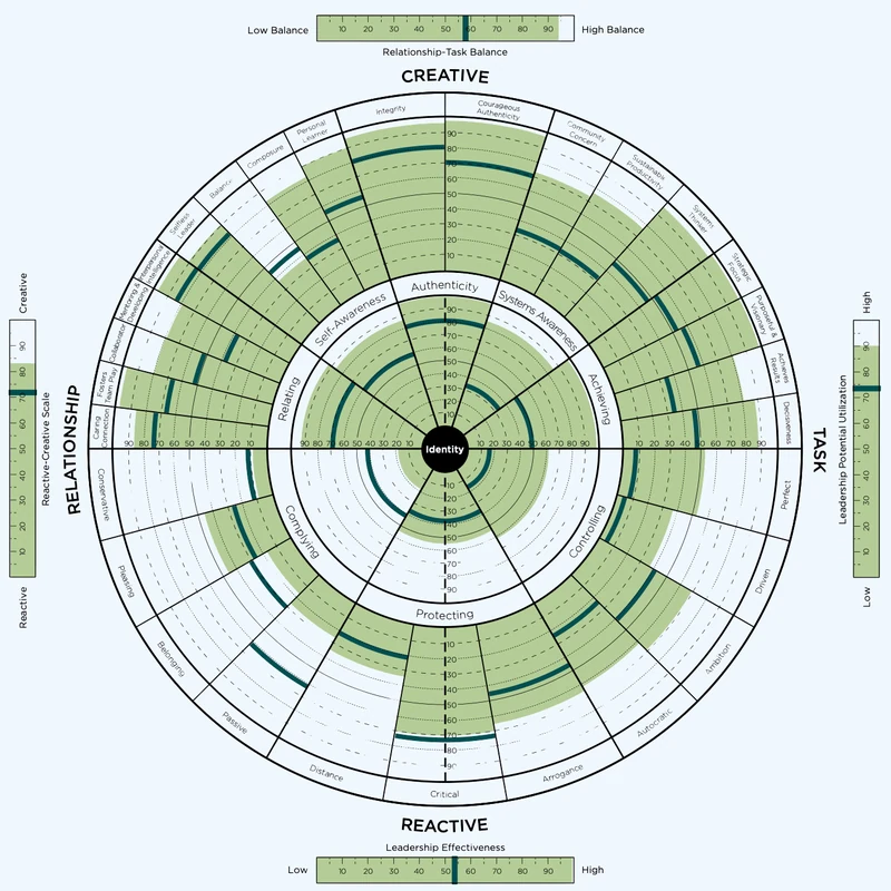 A completed Leadership Circle Profile, showing scores across the Creative and Reactive halves of the circle against the Relationship and Task axes.
