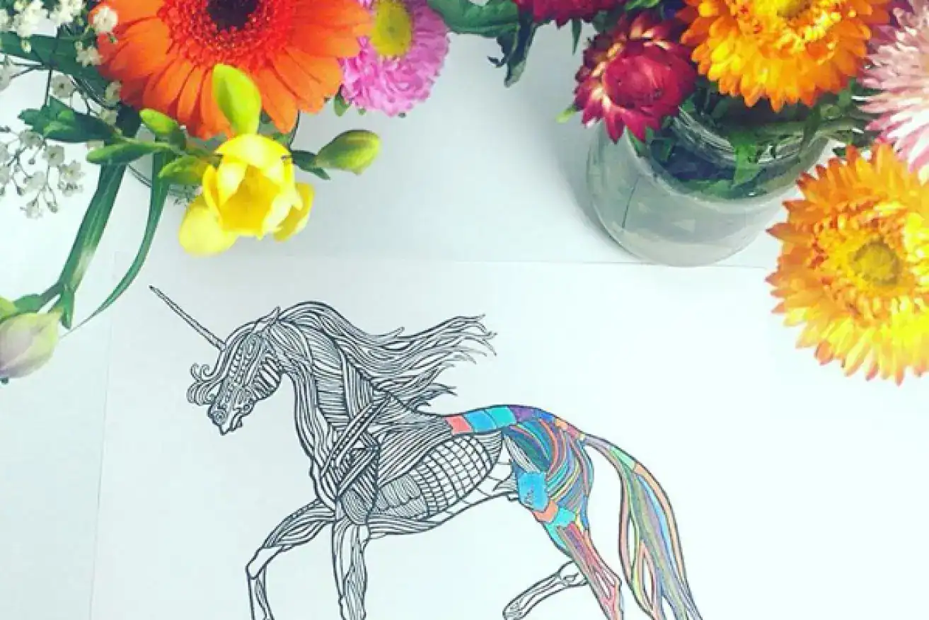 The New Daily (2015). Grown-Ups Are Crazy About Adult Colouring Books But It’s More Than Child’s Play. Thumbnail